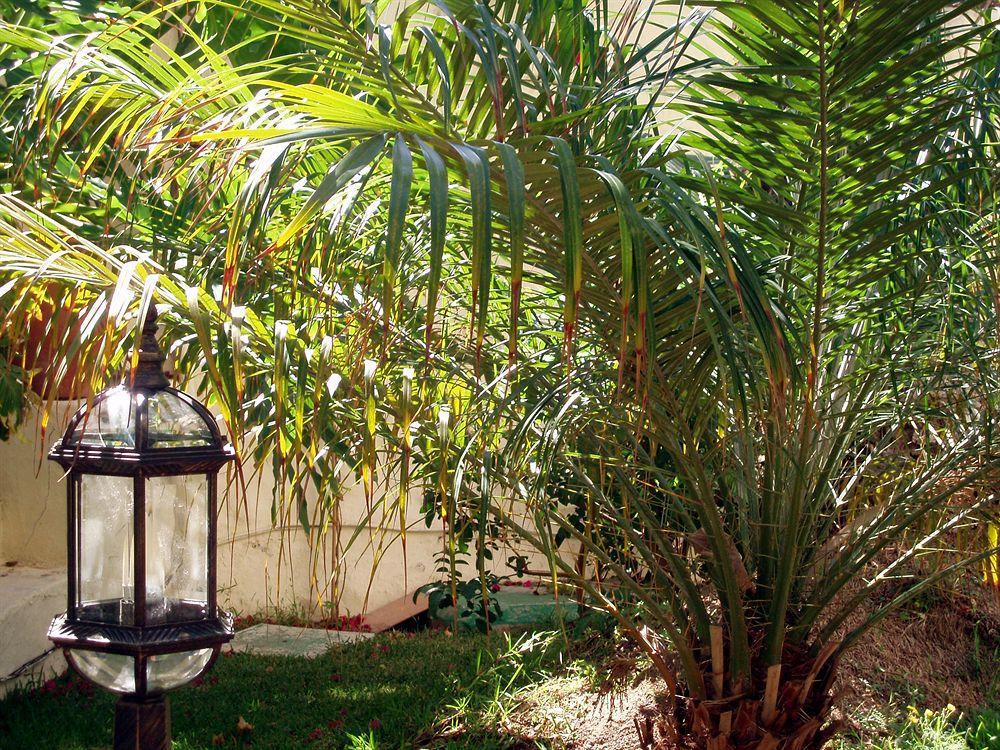Alsol Nogal (Adults Only) Apartman Playa del Inglés Kültér fotó