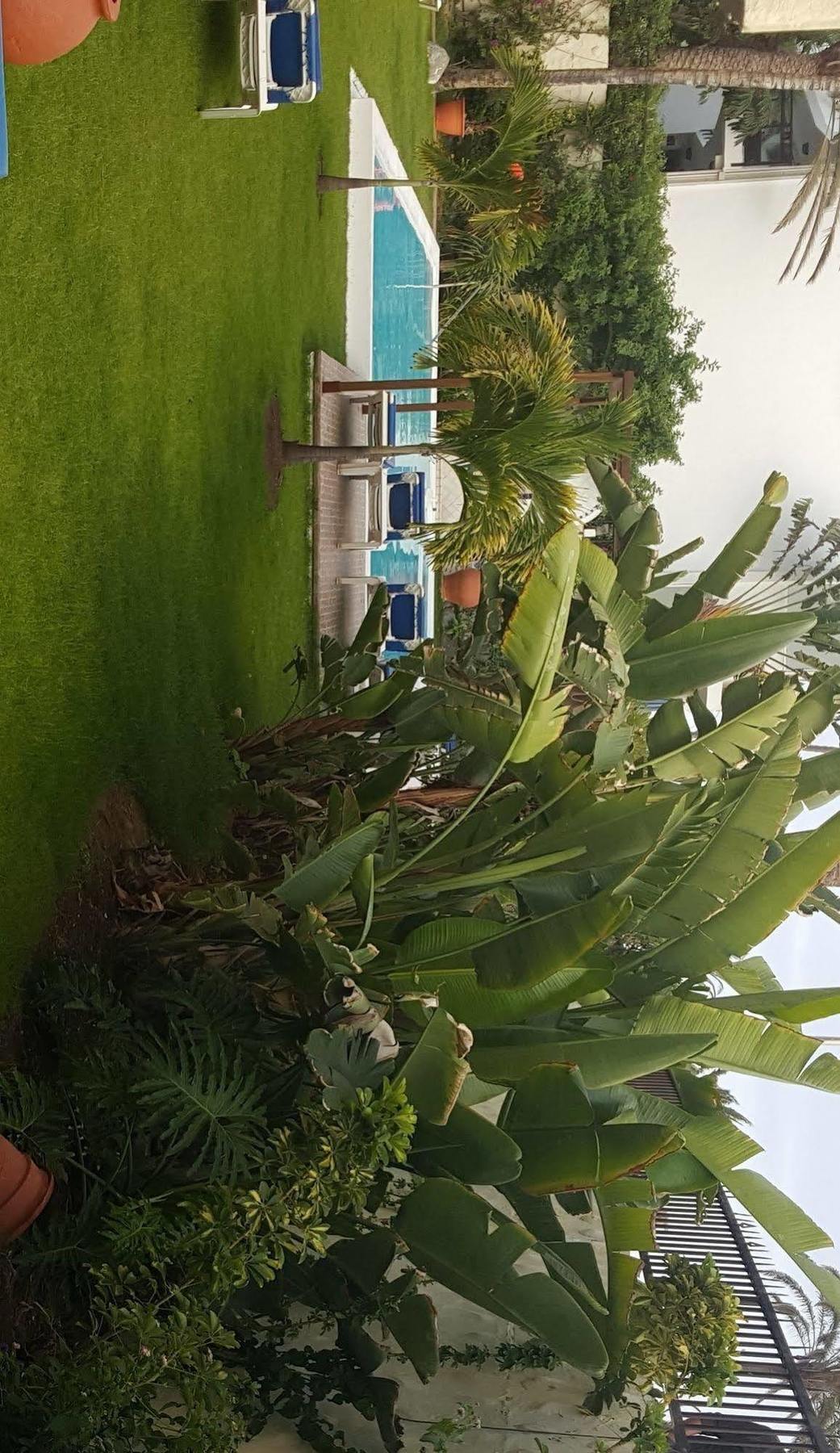 Alsol Nogal (Adults Only) Apartman Playa del Inglés Kültér fotó